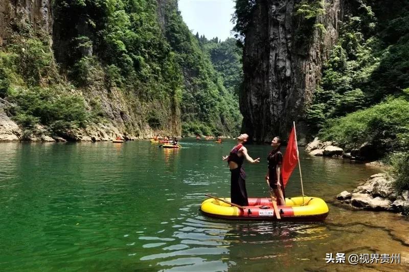 最新上映电影下载，自然美景的心灵之旅之旅