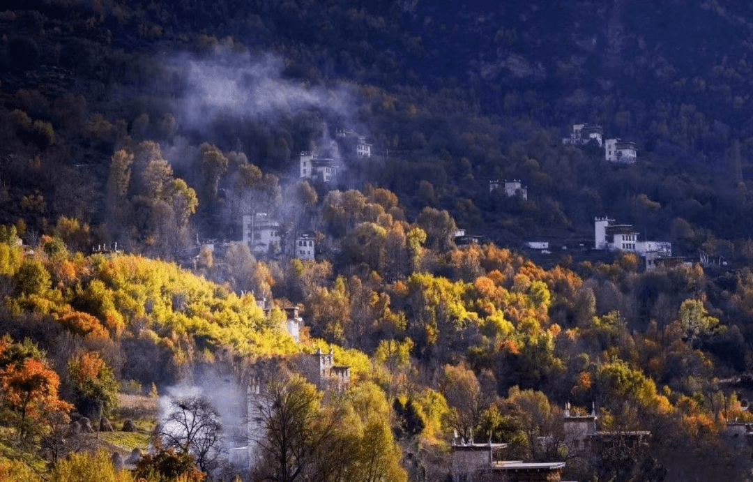 营山最新新闻，拥抱自然，探寻内心平静的旅行之旅