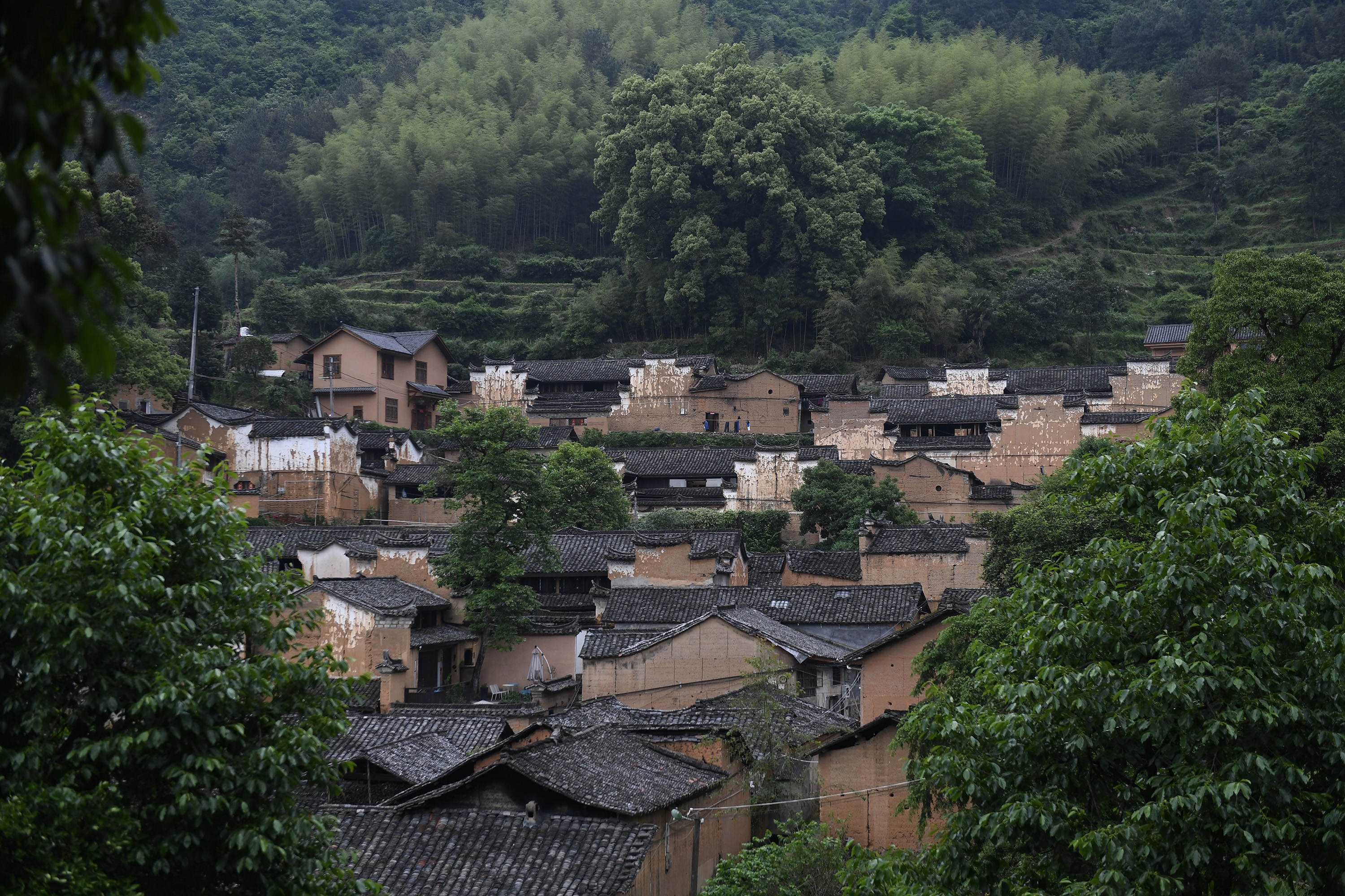 松阳公路建设最新动态与参与指南