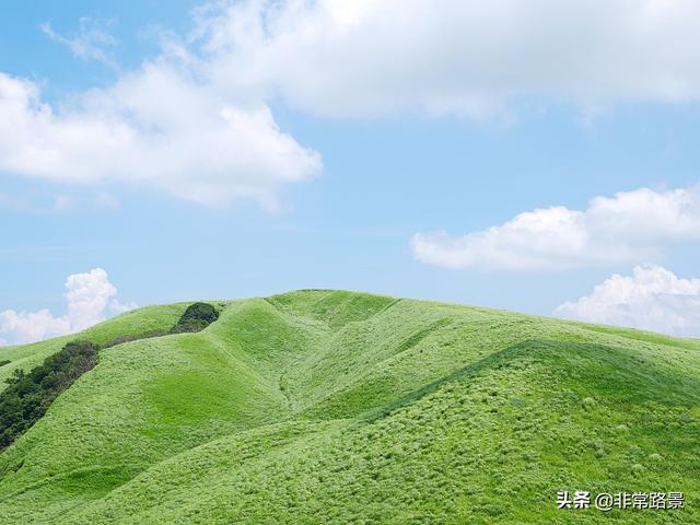 苏密傅奕臣最新章节，探索自然美景之旅，追寻内心平静之道