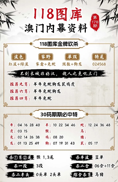 江左梅郎澳门正版资料,最佳精选解析说明_P版51.382-3