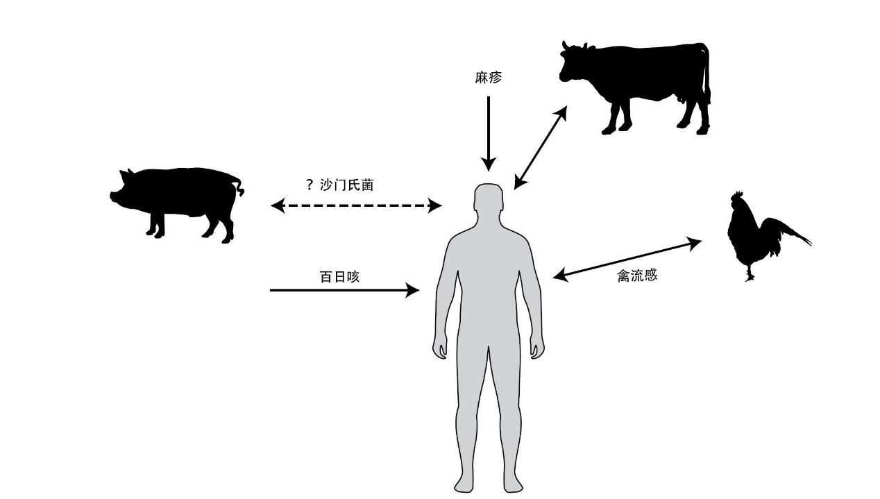 守护健康