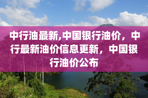 中行油最新动态，聚焦能源市场的新焦点