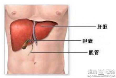 肝炎最新进展与研究概述