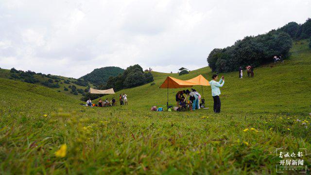 最新中古包,最新中古包，带你踏上自然美景的探索之旅