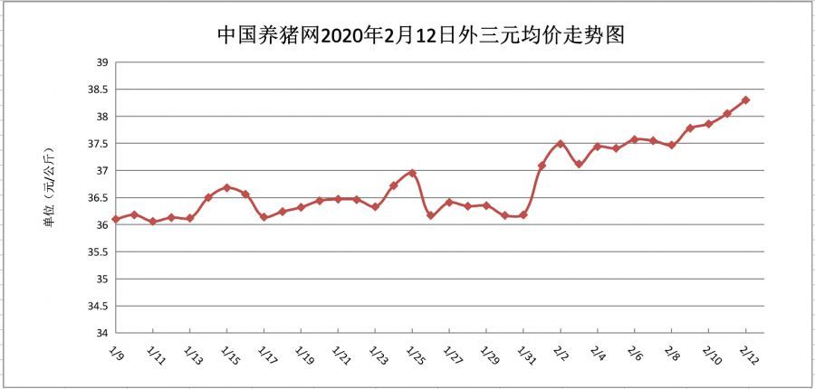 今年猪价行情走势图，洞悉市场动态与温馨故事同步展开