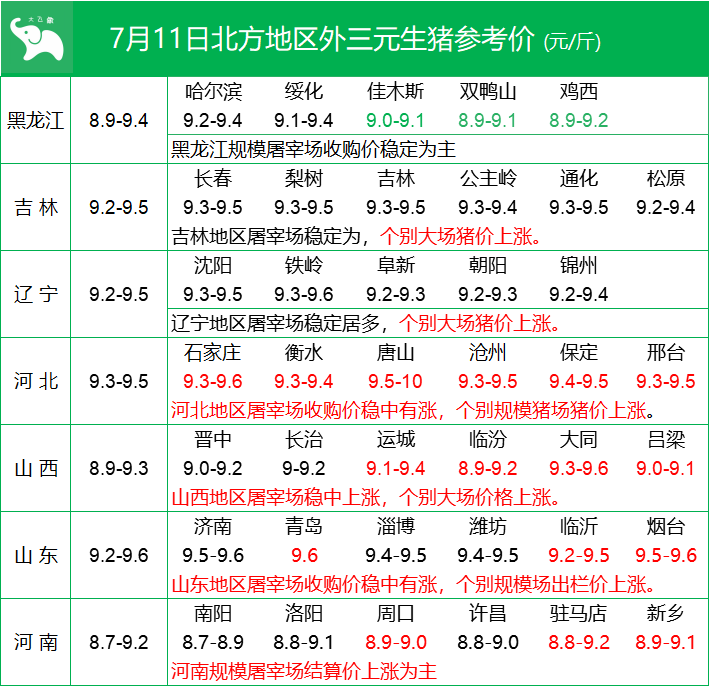 云南今日猪价行情详解与指南