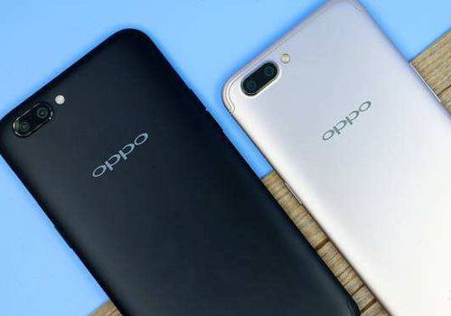 OPPO R11 Plus上市日期揭秘，自然美景下的探索与内心平静之旅