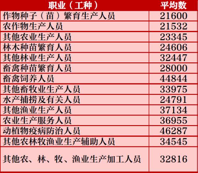 河北省最新玉米价格表及获取指南