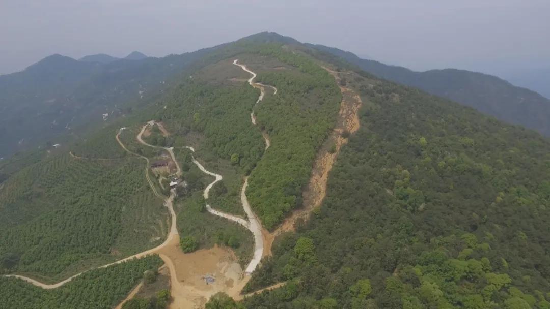 峨眉山市最新招聘信息，探索自然美景，寻找内心平和之旅